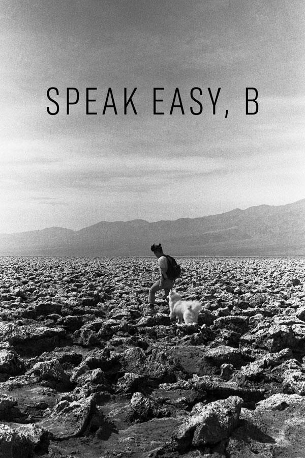 Speak Easy B Poster 2